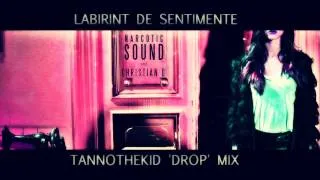 Narcotic Sound & Christian D - Labirint de Sentimente (Tannothekid 'Drop' Mix)