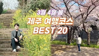 3월 4월 봄 제주여행 추천 코스 BEST 20 🌸 봄꽃 가득한 아름다운 제주 여행 즐기는 방법