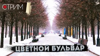 Цветной бульвар – СТРИМ