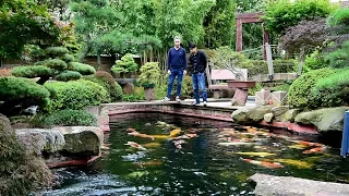 Modern Koi Blog #1945 - Makoto in Germany: Mit Makoto im Koiparadies