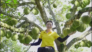 Harvesting durian and passion fruit gardens Going to the market to sell Lucia Daily life