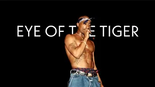 2pac Eye Of The Tiger • Holler If You Hear Me • Mashup