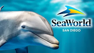 SeaWorld San Diego: Top 10 Tips, Full Tour, Shows, Exhibits, Rides 🐬