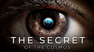 It Will Give You Goosebumps - Neil deGrasse Tyson on The Secret of The Cosmos