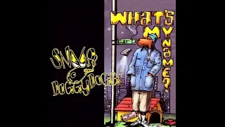 Snoop Dogg - Who Am I (What's My Name) 31 to 41hz