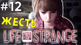 Всё перемешалось. Финал #12 (Life Is Strange Episode 3)