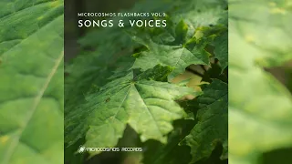 Psychill - Microcosmos Flashbacks Vol. 2: Songs & Voices [Full Album]