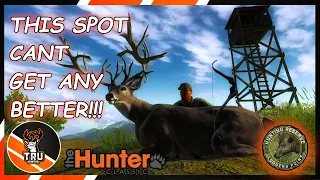 Hunting the BEST spot-on Logger's Point | theHunter Classic