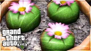 GTA 5: All 27 Peyote Plants Location Guide - Play As Animals Tutorial (GTA 5 Easter Eggs)