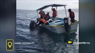 Туристка поцеловала детеныша кита у берегов Мексики