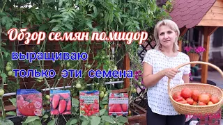 Обзор семян помидор🍅. Это те семена, которые я сажаю каждый год. @galabum