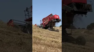 LAVERDA All Quattro Techno Harvester | Mietitrebbia | Trebbiatura | la Treierat | Mietitrebbia