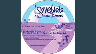 Want You In My Soul (feat. Stee Downes) (Hot Toddy Remix)