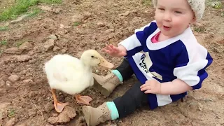 The First Time Baby Meet Animal Moments Compilation  | Cool Baby