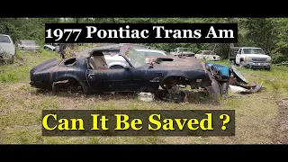 1977 Pontiac Trans Am abandoned and saved from the crusher.