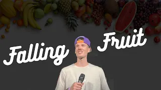 Falling Fruit | Fruitful. (Week 1) | Andy Riemersma
