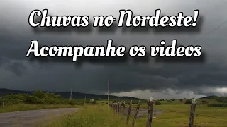 Chuvas no Nordeste! Acompanhe os vídeos. #chuva #nordeste #sertão