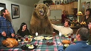 Невероятная история дружбы человека и медведя гризли / Необычный друг