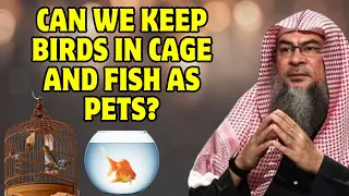 Is It Permissible To Keep Birds In Cages And Fish As Pets ? - Sheikh Assim Al Hakeem #assimalhakeem