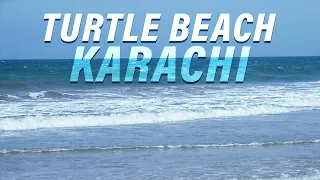 turtle beach karachi