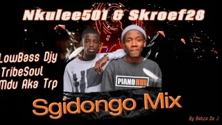 Sgidongo Mix | Nkulee501 | Skroef28 | Tribesoul | LowBass Djy | By Babza Da J