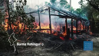 Burma: Methodical Massacre at Rohingya Village