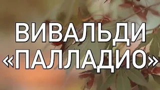 БЕССМЕРТНЫЙ АНТОНИО ВИВАЛЬДИ - ПАЛЛАДИО