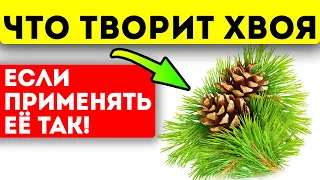 Боже! Почему я раньше этого не знал! Смотрите, как я применяю хвою и моё тело изменяется