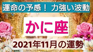 【蟹座】運命の予感、力強い波動！2021年11月の運勢💖光のアドバイス付き