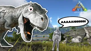 Ark Jumpscare Compilation - Funny Moments