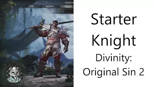✅ Basic Starter Knight in Divinity: Original Sin 2