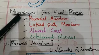 Head And Neck Embryology( Pharyngeal Arches)(Part 1)