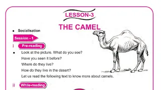 Odia medium: Class-7:English:Part-1:Lessson-3:The Camel: text(bisaya bastu)