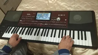 Մարտիե KORG pa700