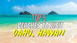 Top 5 Beaches on Oahu, Hawaii