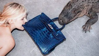 🔥Секонд хенд ,сумка кожа крокодила за 150 рублей