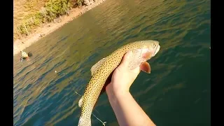 EPIC day lake fly fishing on a lake. Big Utah cutthroat trout!
