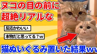 【2ch動物スレ】ヌコの目の前に超絶リアルな猫ぬいぐるみ置いた結果ｗｗｗｗｗ