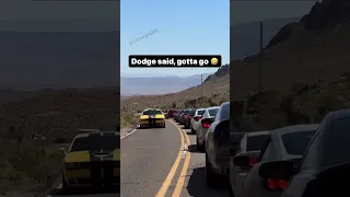 Shelby GT500 vs Hellcat 🤣