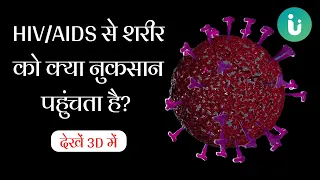 HIV/AIDS से शरीर को क्या और कैसे नुकसान पहुंचता है - देखें 3D में | HIV/AIDS 3D Animation in Hindi