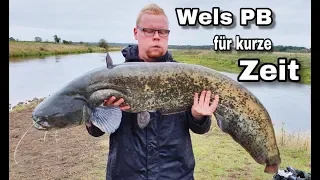 Spinnfischen auf Wels mit Livebissen