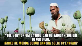 “Tolibon” opium savdosidan olinadigan soliqni bekor qildi.