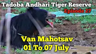 Tadoba Andhari Tiger Reserve || Van Mahotsav || 01 July  To 07 July 2020 || Episode 27