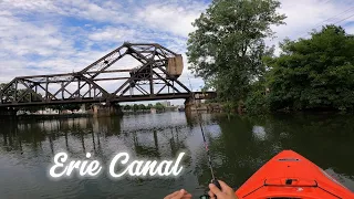 Kayak Fishing Erie Canal!  Full day on the water