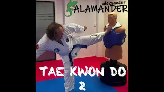 Aleksander Salamander - Taekwondo 2 (Preview)