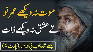 Baba Bulleh Shah Punjabi Kalam (Part #4) || Punjabi Sufi Kalam || Heart Touching Punjabi Poetry