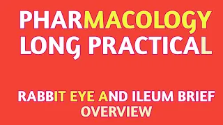 Rabbit eye and rabbit ileum practical || pharmacology practical