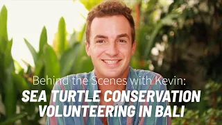 Sea Turtle Volunteering Abroad Experience in Bali, Indonesia with Kevin | IVHQ
