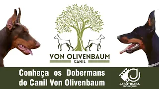 Von Olivenbaum Canil - Jabuticaba Produções