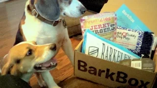 BarkBox September 2014 Unboxing & Dog Testing
